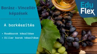 A borkészítés