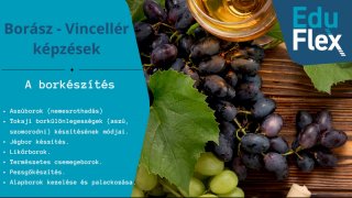 A borkészítés II.