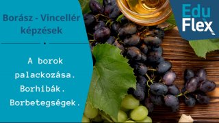 A borok palackozása. Borhibák. Borbetegségek.