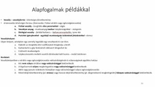 Kockázatértékelés elmélete és alapelvei