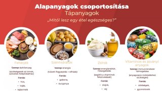 Élelmiszerismeret - Az alapanyagok jellemző és élettani hatásai