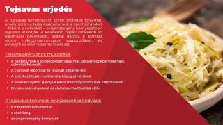 A tejsavas erjesztés és a tejsavas tartósítási eljárások