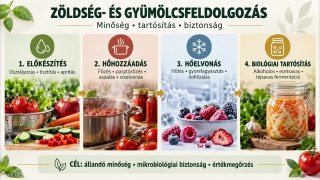 Zöldség- és gyümölcsfeldolgozás