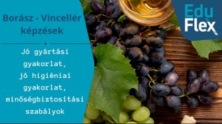 Jó gyártási gyakorlat, jó higiéniai gyakorlat, minőségbiztosítási szabályok.