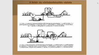 A szüret időpontjának hatásai, próbaszüret, termésbecslés, szüreti terv.