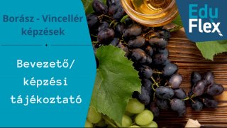 Bevezetés, képzési tájékoztató